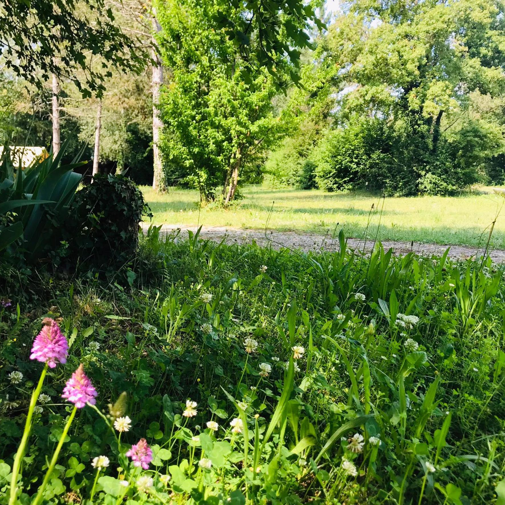Camping La Vaugelette - Drome Montclar-sur-Gervanne 외부 사진
